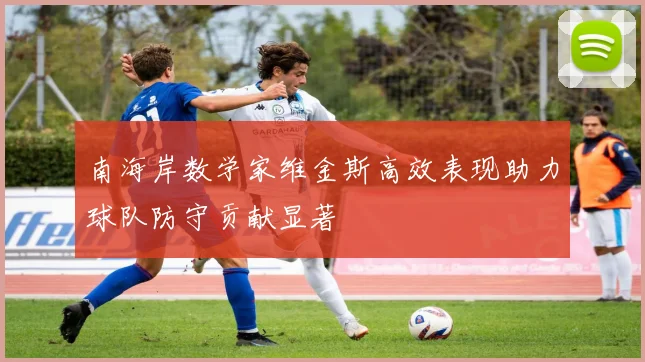南海岸数学家维金斯高效表现助力球队防守贡献显著