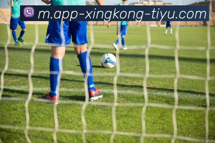 App 示例图